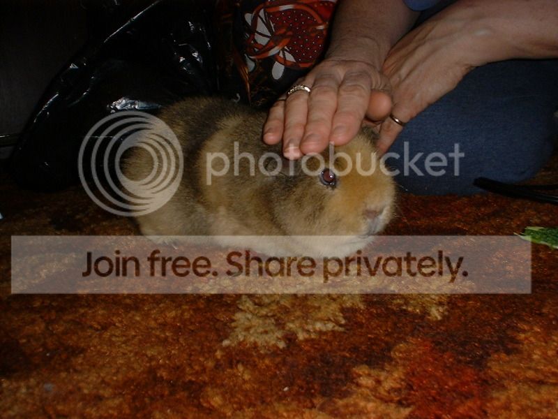 Picture110.jpg