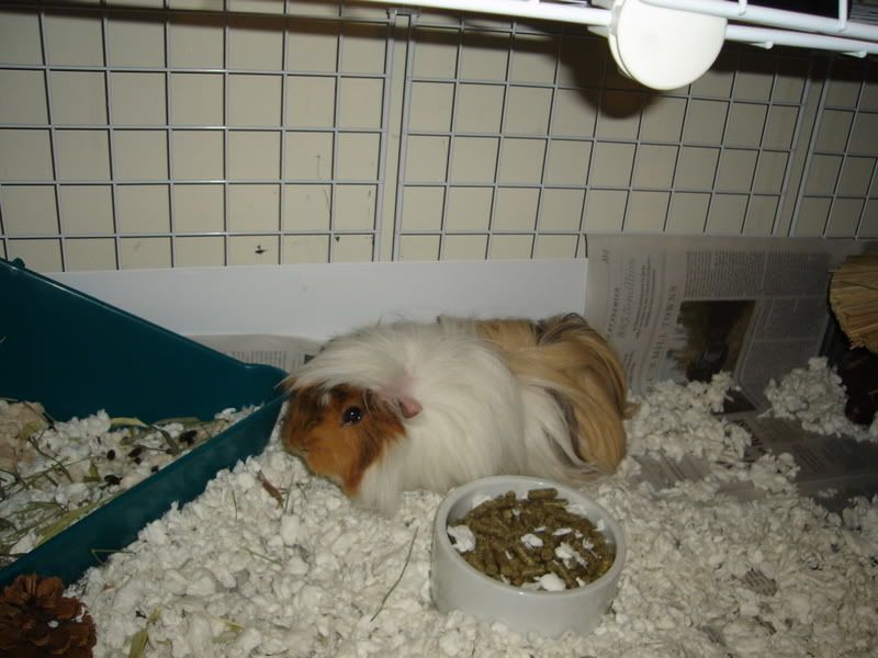 DSC01933.jpg