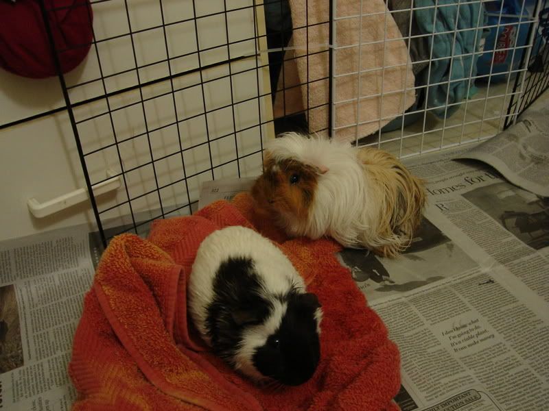 DSC01943.jpg