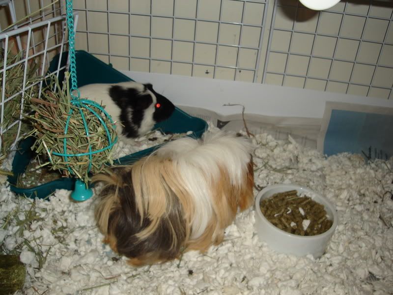 DSC01961.jpg