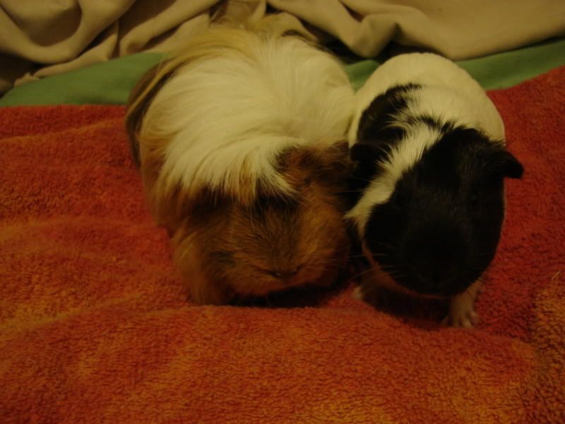 DSC02004.jpg