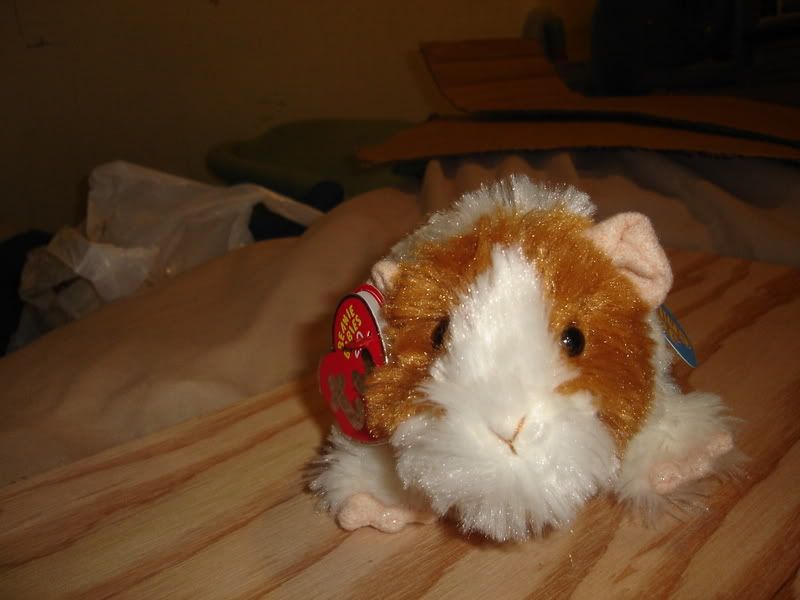 DSC01854.jpg