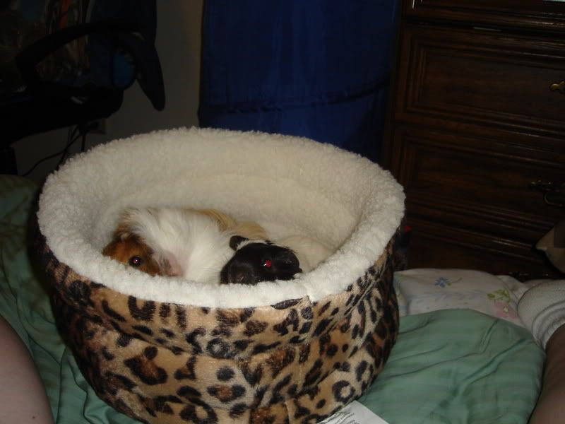 DSC02149.jpg