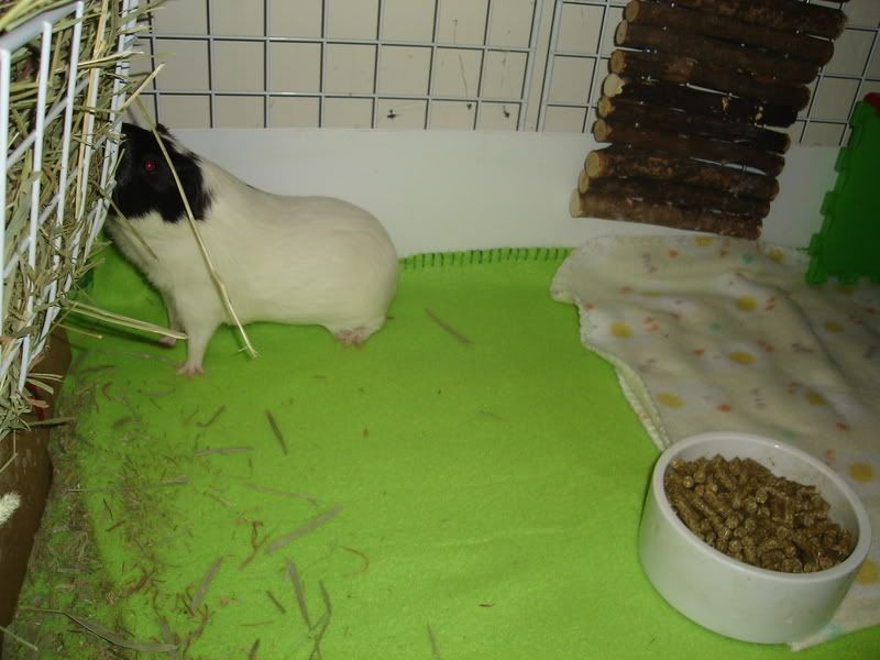 DSC02201.jpg
