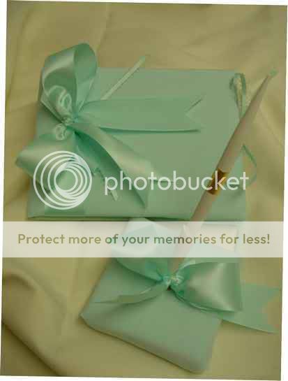 Tiffany Blue Aqua Guest Book Pen Stand SET Wedding BOW  