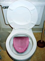 Image hosted by Photobucket.com