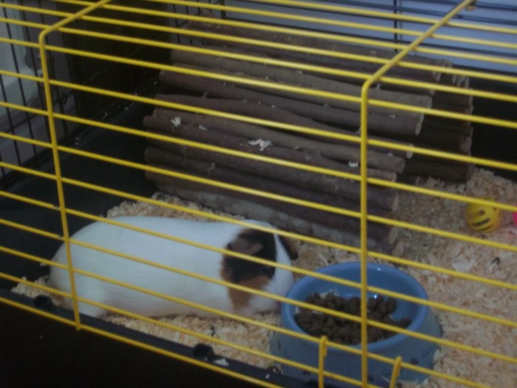 100_0143.jpg