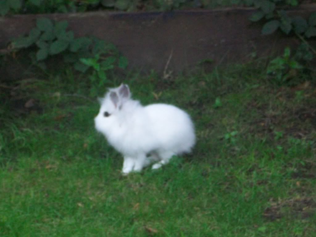 100_0179.jpg