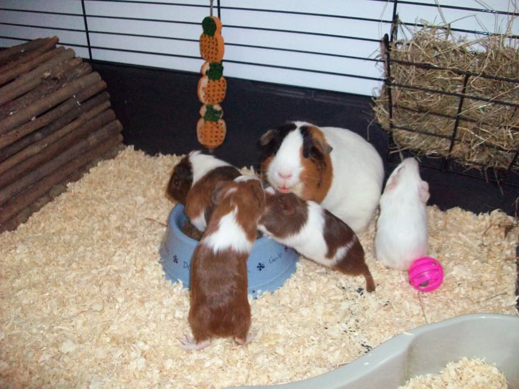 Picture083.jpg