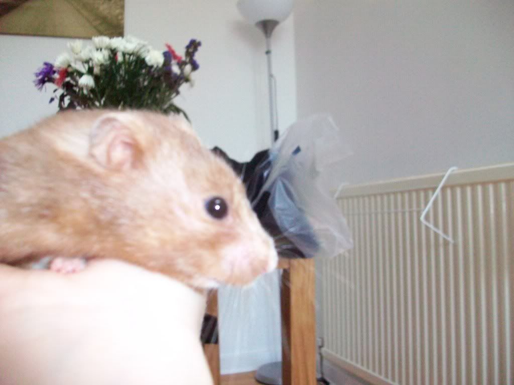 Picture099.jpg